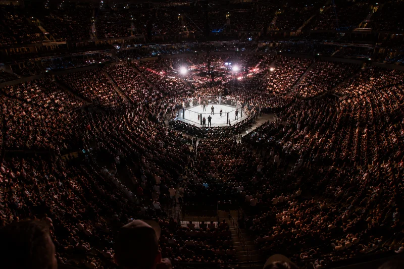 Dana White net worth UFC arena business growth